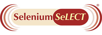 seleniumselect